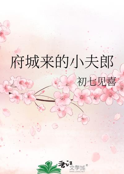 府城来的小夫郎